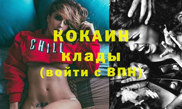 дмт Абаза