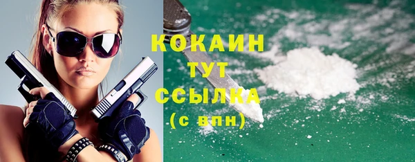 дмт Абаза