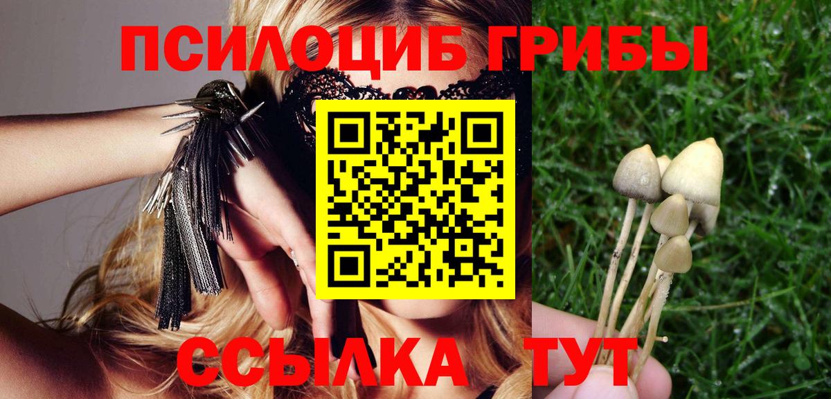 Галлюциногенные грибы Psilocybe Азов