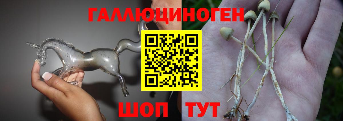 Галлюциногенные грибы мицелий  Вход с VPN  Азов 